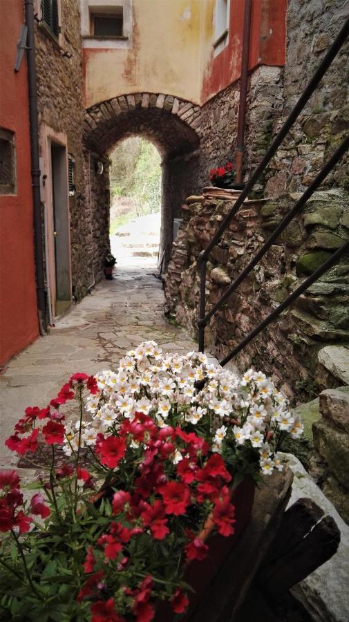 Borgo Di Codeglia - Country Rooms Ricco del Golfo di Spezia Bagian luar foto